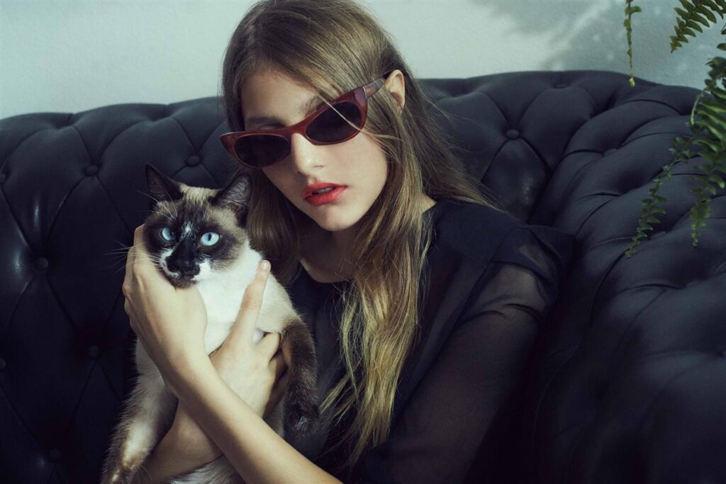 Cat-Eye Sunglasses: The Ultimate Style Upgrade
