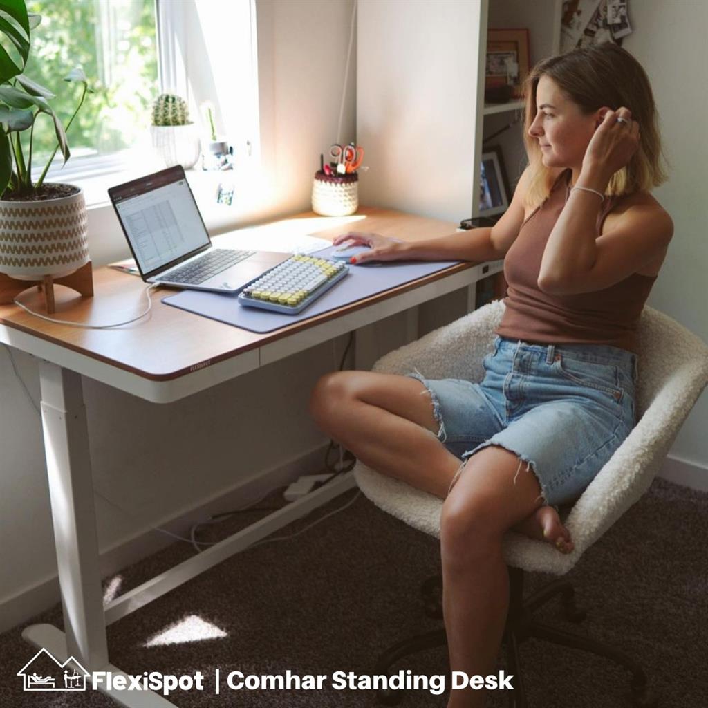 Ergonomic Excellence: How FlexiSpot Chairs Enhance Workplace Comfort