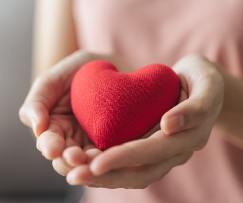 Comparing Check My Body Health’s Ultimate and Essential Sensitivity Tests: Which One Should You Choose?