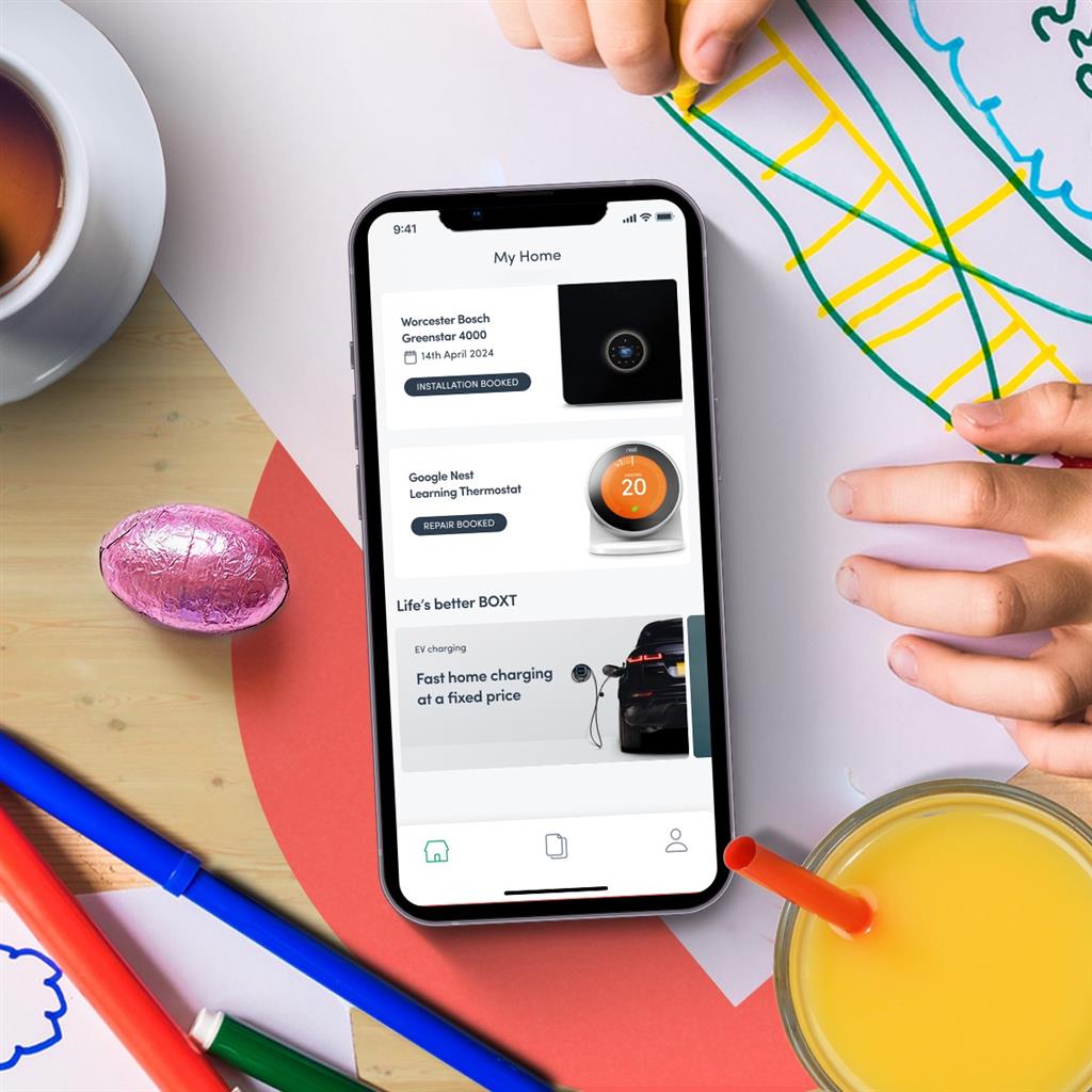 Cost vs. Value: Why BOXT’s Transparent Pricing Model Saves You Money