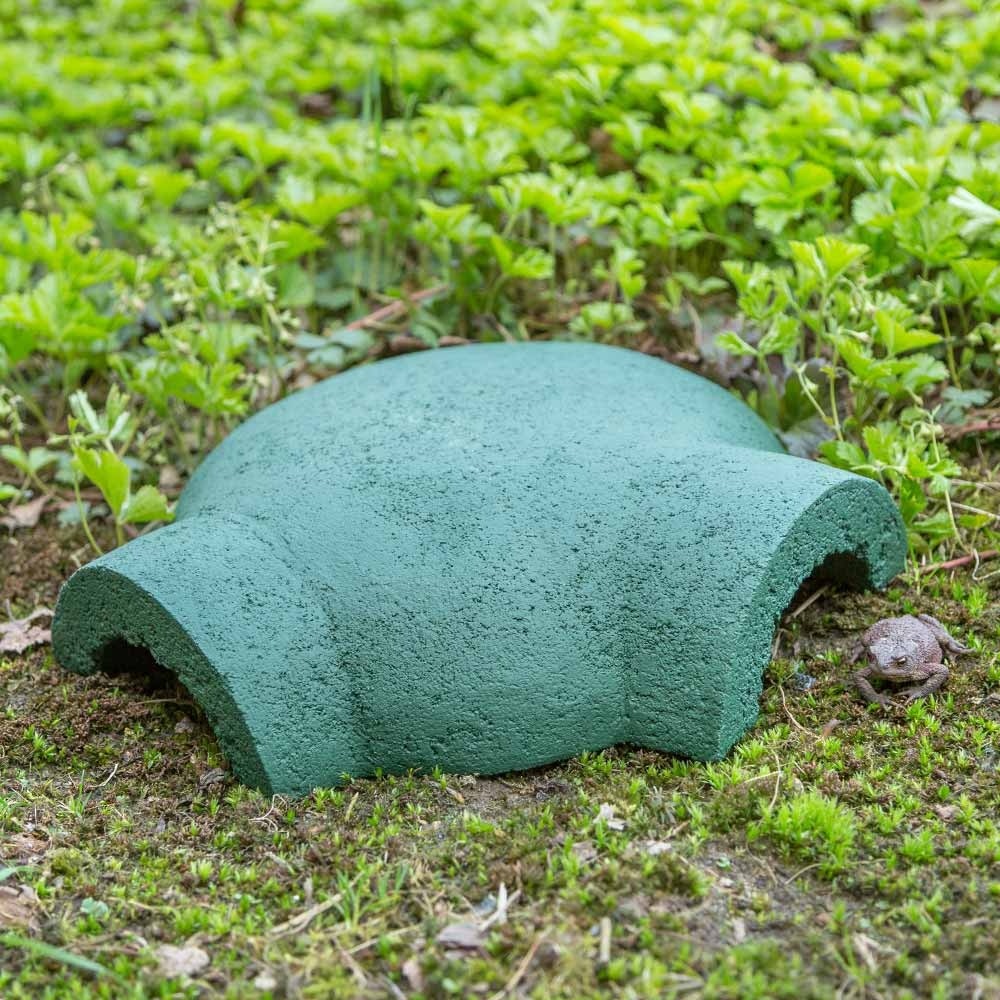 Unterschätzte Gartenbewohner: So unterstützt du Amphibien mit Vivara