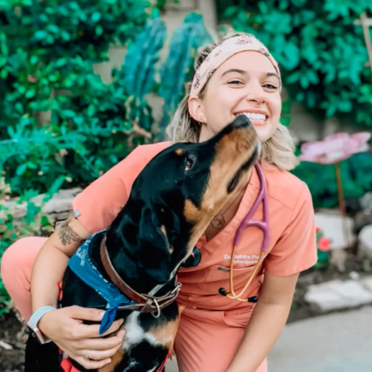 We’ve Tried Dozens Of Dog Treats—These Are The Only Ones That Didn’t Get Tossed In The Bin