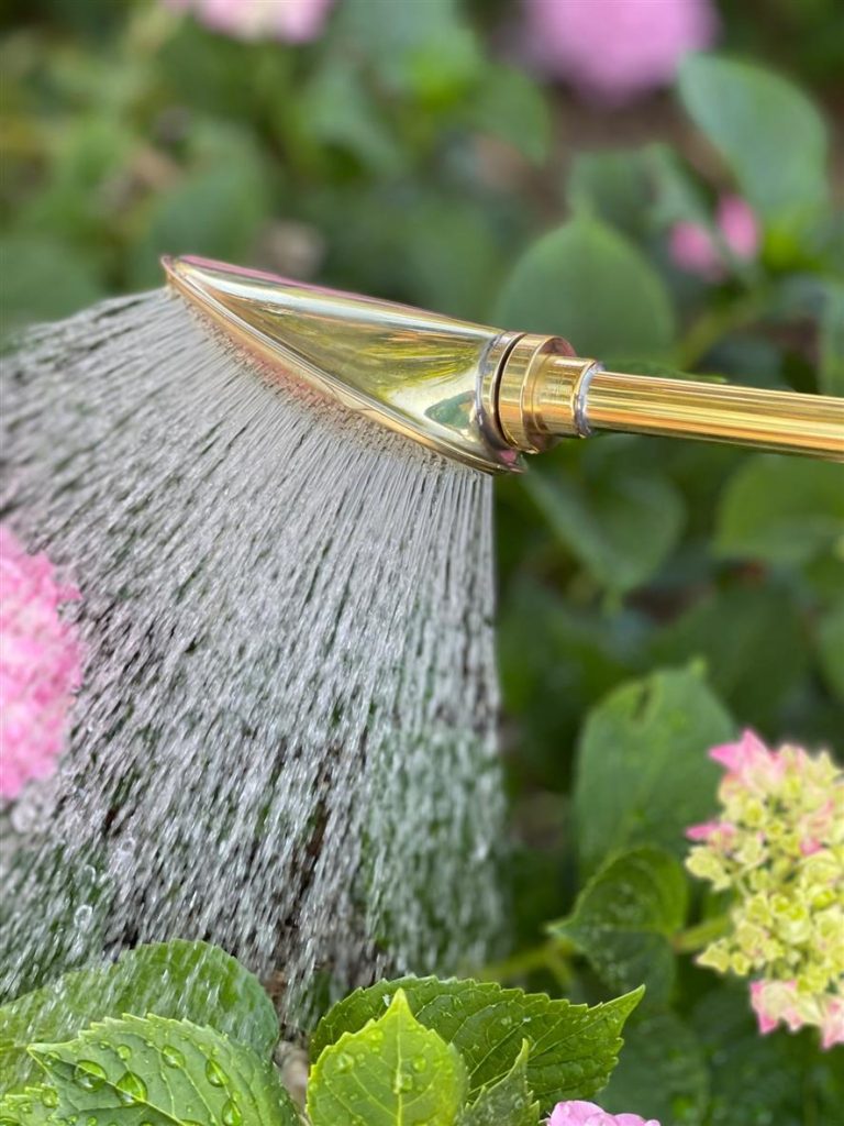 Why the Haws Brass Spray Lance Is a Must-Have for Gentle, Precise Watering