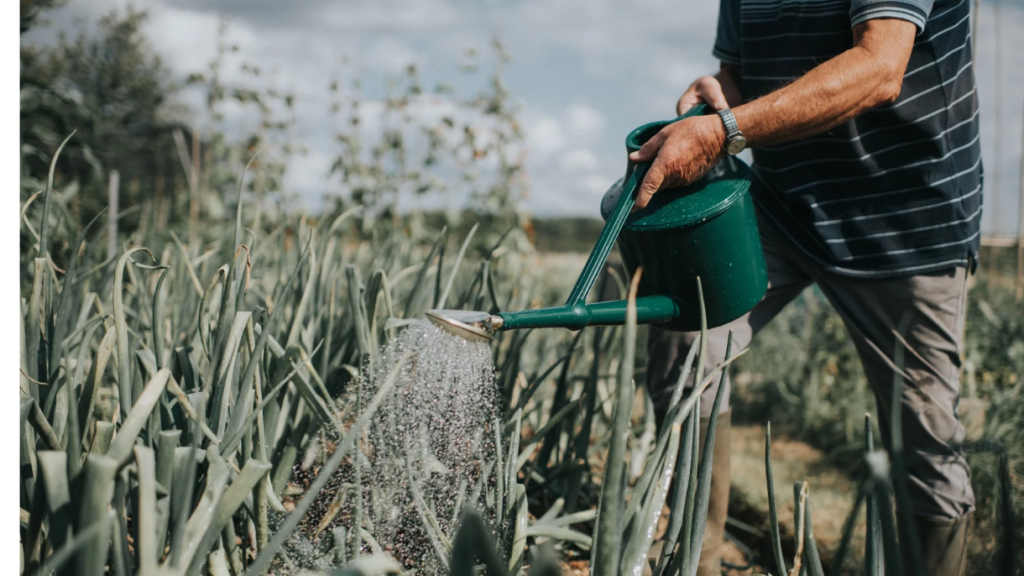 Elegant Gardening – Crowned by the charm of the Cradley Deluxe Watering Can