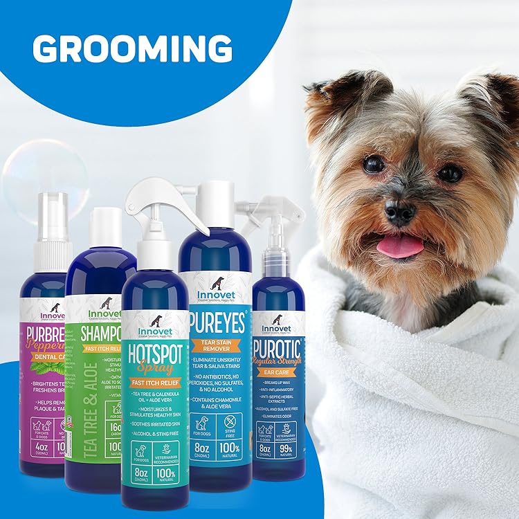 Innovet Pet’s CBD for Senior Pets: Enhancing Mobility and Overall Wellness