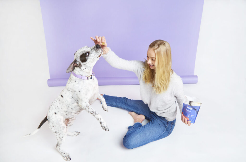 Percée dans la santé animale : Découvrez la science derrière les solutions révolutionnaires de CBD + CBDA d’ElleVet Sciences