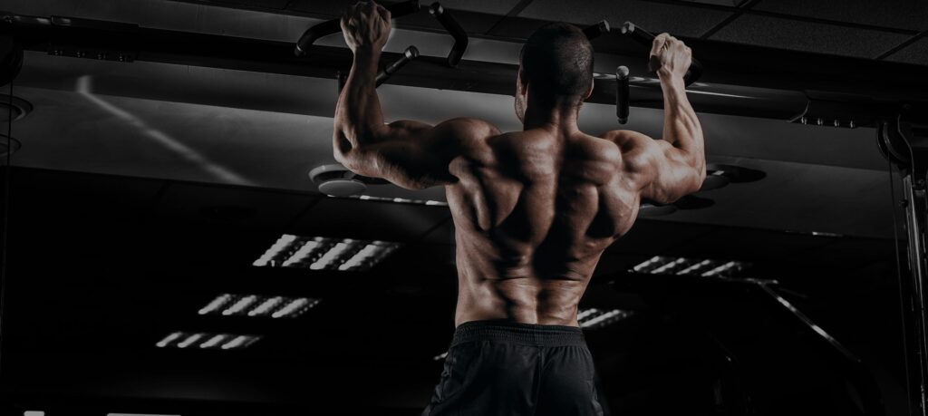 Unleash Your Potential with Warrior Supplements
