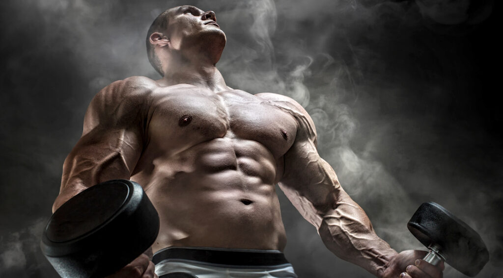 Building a Stronger You: The Comprehensive Fitness Solutions Offered by BODYBUILDING WAREHOUSE