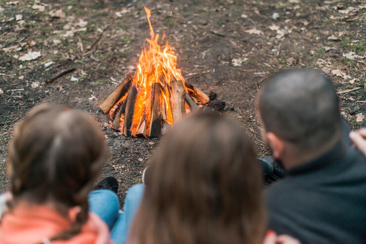 The Sustainability Behind Your Fires: How Logs Online Supports Reforestation and Responsible Sourcing