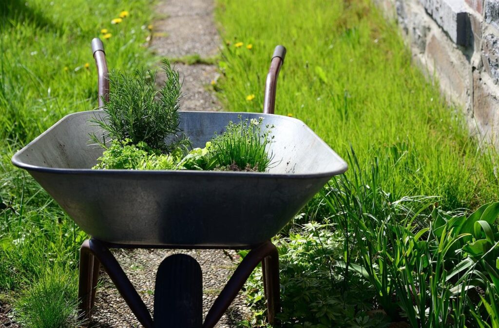 Nachhaltig und schön: So macht Dein-Flaschengarten.de ökologisches Gärtnern zum Vergnügen In einer Welt, in der Nachhaltigkeit immer wichtiger wird, ist es unerlässlich, Wege zu finden, im Einklang mit der Natur zu leben. Bei Dein-Flaschengarten.de glauben wir, dass umweltfreundliches Gärtnern weder schwierig noch langweilig sein muss – es kann Spaß machen, kreativ sein und unglaublich lohnend. Mit unseren innovativen Flaschengärten verändern wir die Art und Weise, wie Menschen über Gartenarbeit denken, und ermöglichen es, die Natur drinnen zu genießen und gleichzeitig Nachhaltigkeit und Umweltverantwortung zu fördern.