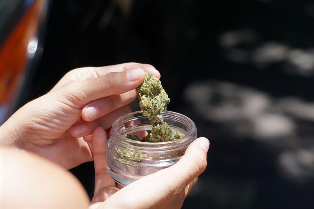 From Farm to Consumer: The Journey of High-Quality HEMP HASH The rising popularity of hemp-based products has brought HEMP HASH into the spotlight as a natural remedy for a variety of wellness needs. But what sets high-quality HEMP HASH apart from the rest? The journey from farm to consumer involves meticulous cultivation, extraction, and refinement processes that ensure the final product is pure, potent, and effective. Let’s explore the journey of high-quality HEMP HASH and understand why it stands out in the market.