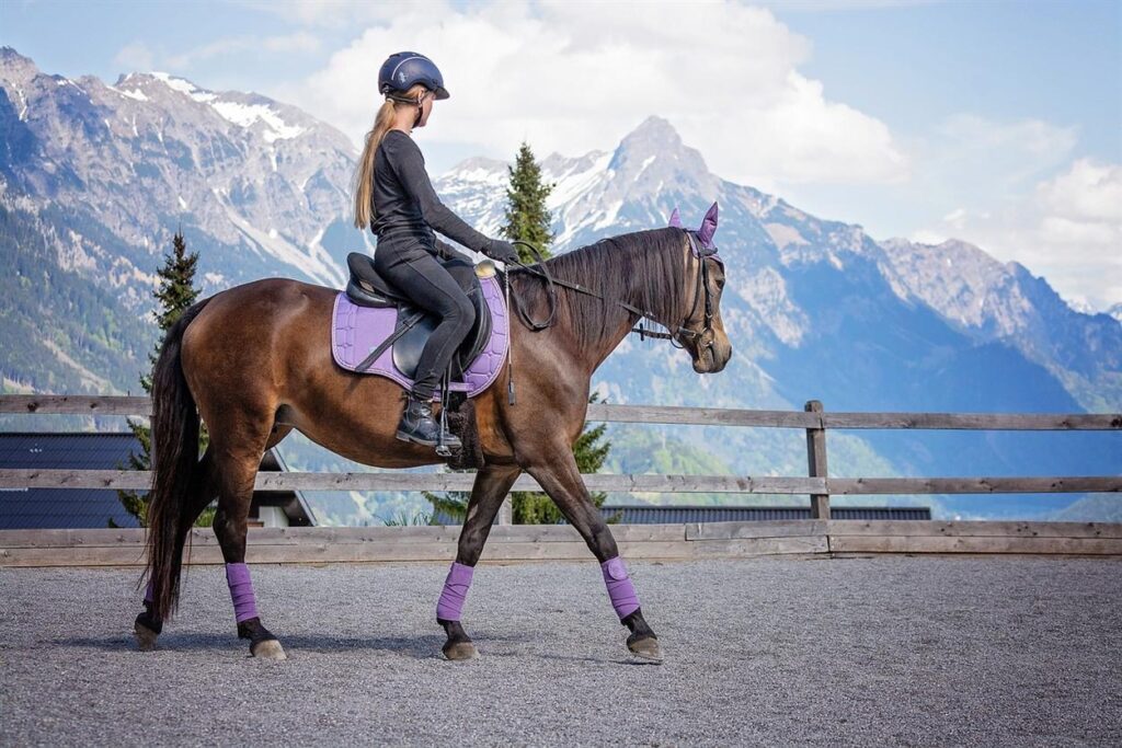 Why Customer Satisfaction is at the Heart of GS Equestrian’s Success At GS Equestrian, customer satisfaction is not just a goal; it is the cornerstone of everything we do. As a leading UK brand in the equestrian world, we understand that our success is intrinsically linked to the happiness and loyalty of our customers. From providing high-quality products to offering unparalleled customer service, every aspect of our business is designed with the customer at the heart of it all. Here's why customer satisfaction is crucial to our growth and success, and how it drives every decision we make.