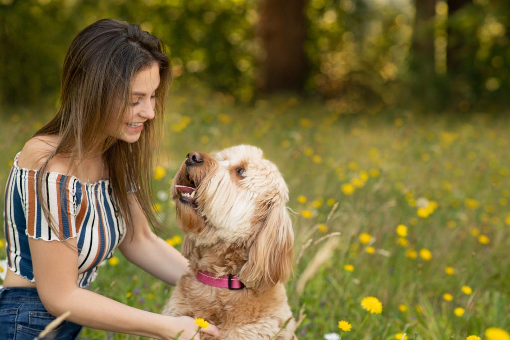 Why Innovet Pet’s Organic Supplements and CBD Products are Essential for Your Pet’s Health