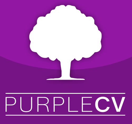 Beyond Templates: The Art of Personalized CV Writing at PurpleCV