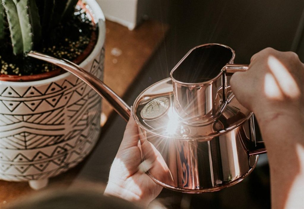 The Fazeley Flow Watering Can That Houseplants (and Design Lovers) Deserve