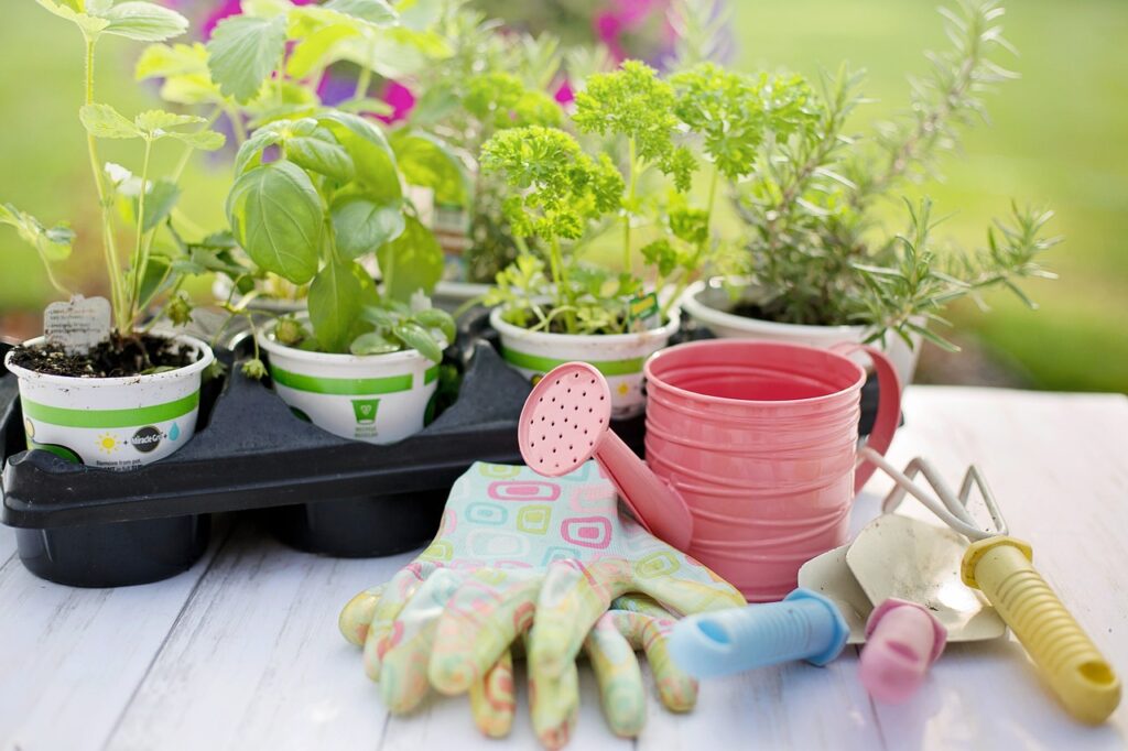 Creating a beautiful and functional garden requires more than just good intentions—it requires high-quality plants, thoughtful design, and reliable support. At Hedges Direct, we provide everything you need to bring your garden vision to life. As the UK’s leading supplier of hedging, plants, and garden essentials, we offer a wide range of products to suit every project, from small home gardens to large commercial landscapes.