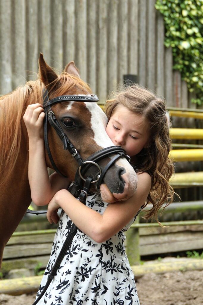 In an age where convenience and quality are paramount, equestrian enthusiasts are turning to online shopping more than ever before. However, despite the increasing number of online stores, finding a retailer that understands the unique needs of riders can still be a challenge. Enter GS Equestrian, a UK-based brand that is changing the game for equestrians looking for premium products, exceptional service, and a seamless shopping experience—all from the comfort of their own home.Since its inception in 2010, GS Equestrian has been on a mission to provide riders with not only the finest quality gear and supplies but also an intuitive and hassle-free online shopping experience. This commitment to creating a smooth and enjoyable experience for every customer has made the brand a trusted name in the equestrian community.