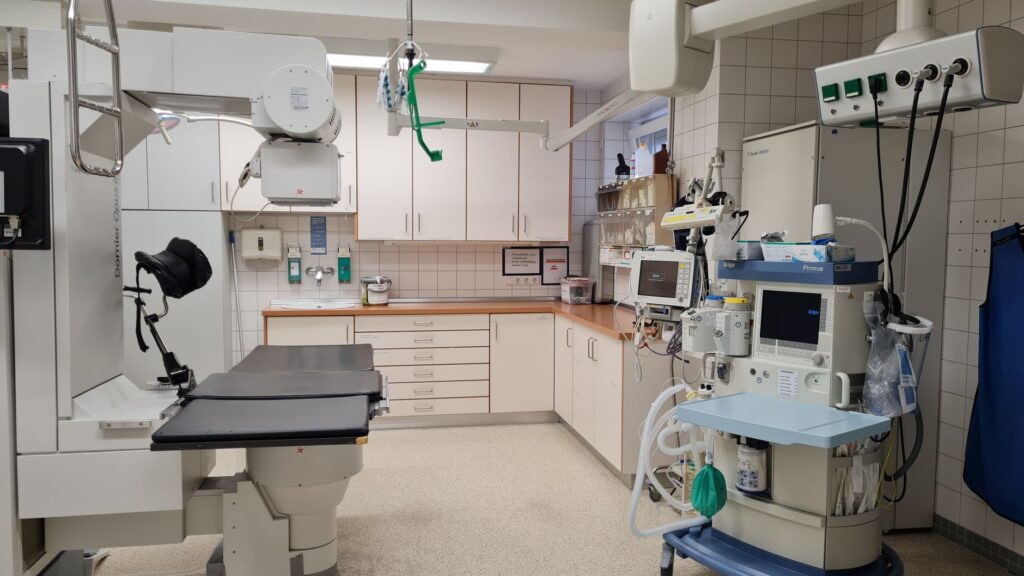 Rzeczywiste Sukcesu Pacjentów Jak Produkty Radamed Zmieniają Życia