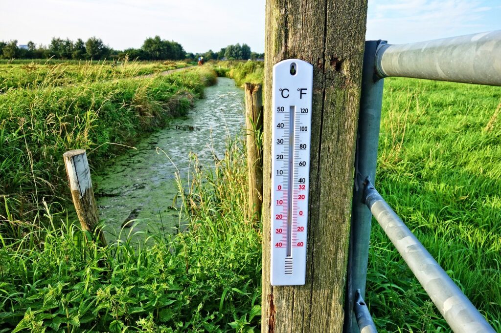 Beyond the Kitchen: Exploring the Versatility of ThermoPro’s Hygrometers and Weather Stations