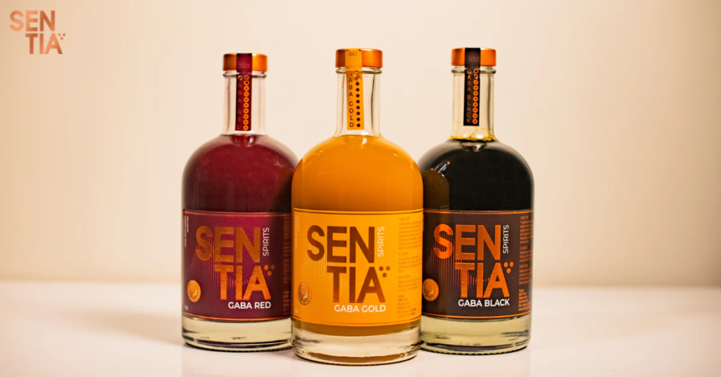 Socializing Without Compromise: How Sentia Spirits Helps You Stay Energized and Present