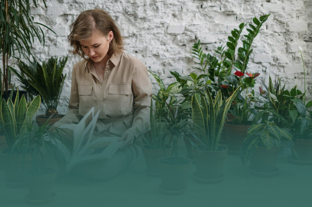 Tuinland: Jouw Ultieme Bestemming voor Tuinliefhebbers