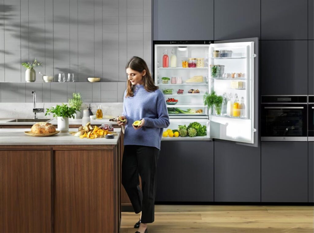 Electrolux Fridges: Redefining Freshness with Smart Cooling Technology